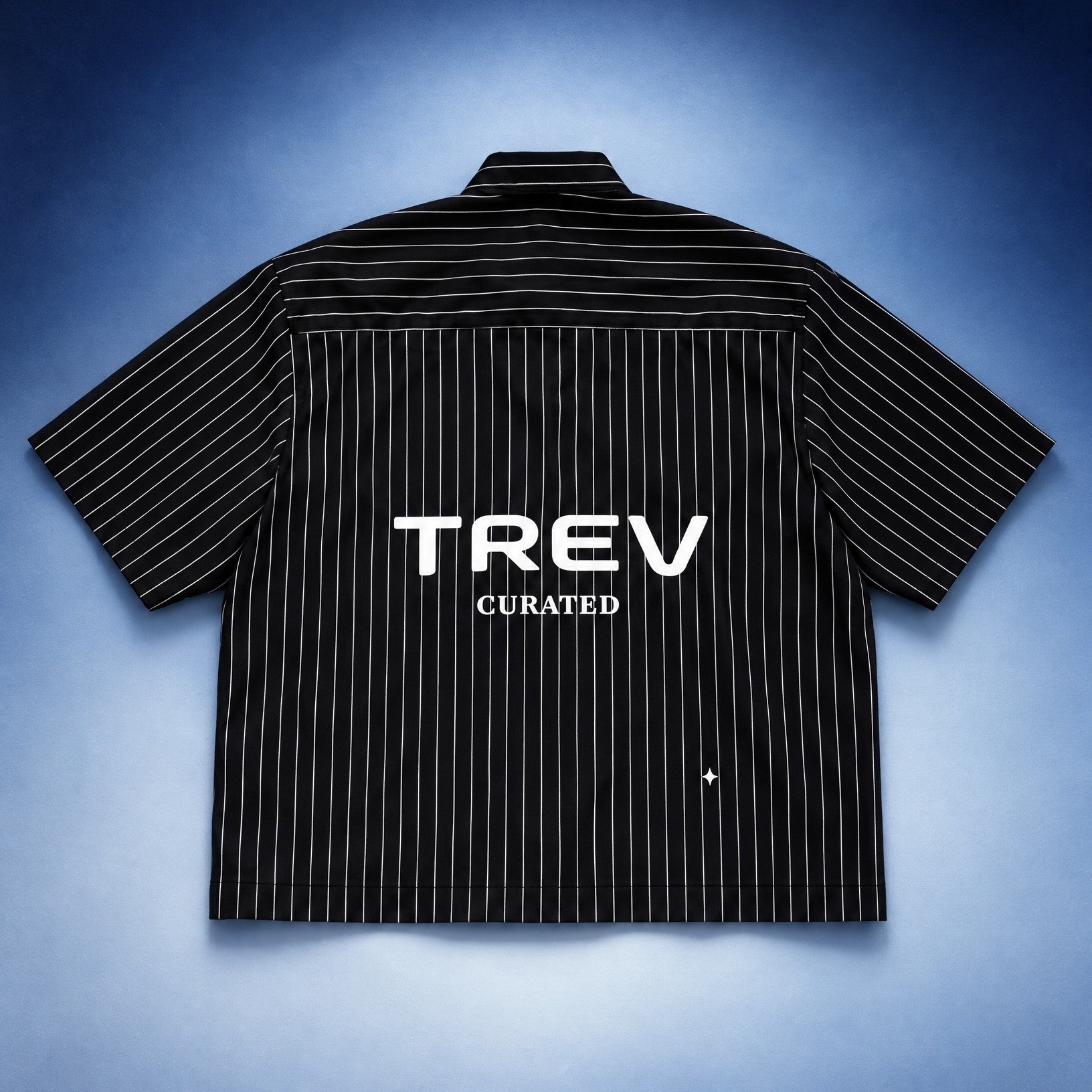 TREV Curated Stripes Boxy Shirts