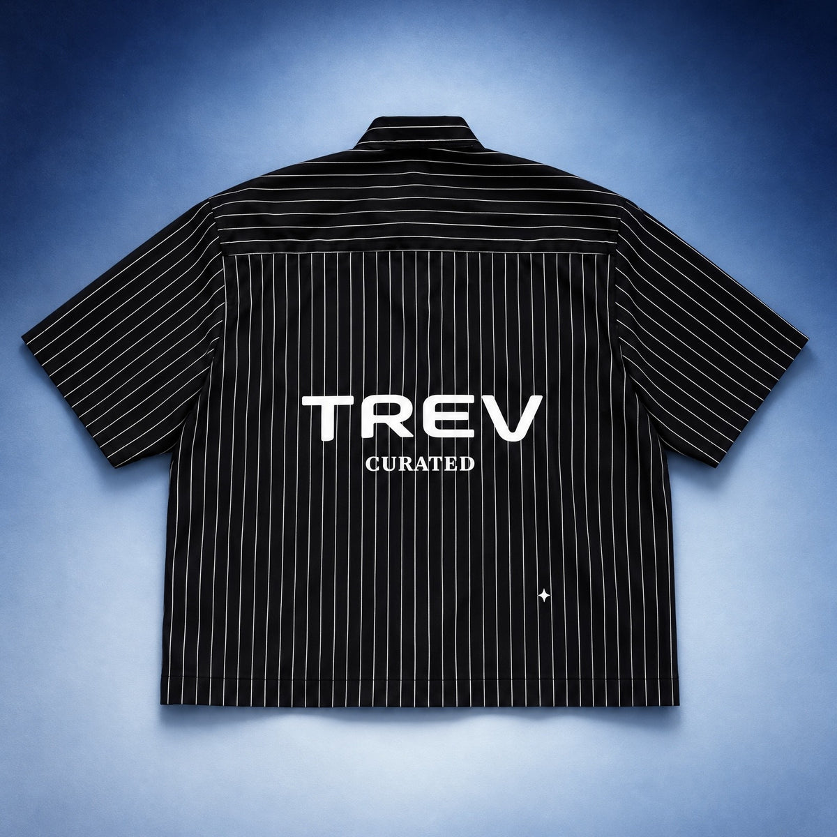 TREV Curated Stripes Boxy Shirts