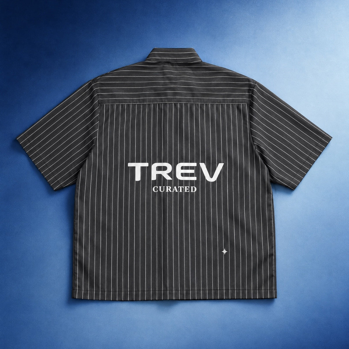 TREV Curated Stripes Boxy Shirts